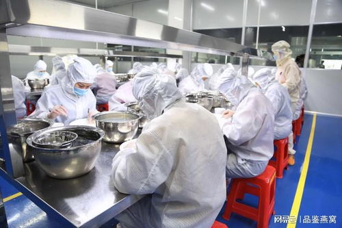 2025燕窩行業(yè)頭部加工廠探索 燕窩工廠代加工現(xiàn)狀與技術(shù)服務(wù)分析