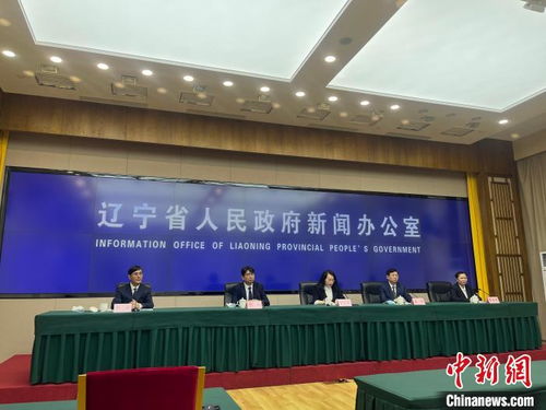 遼寧擘畫縣域經濟新藍圖 2025年綜合實力與發展活力躍升，經濟信息咨詢賦能關鍵路徑