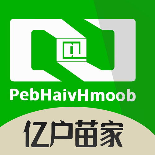 云南億戶苗家信息技術有限公司 深耕經濟信息咨詢，助力區域發展